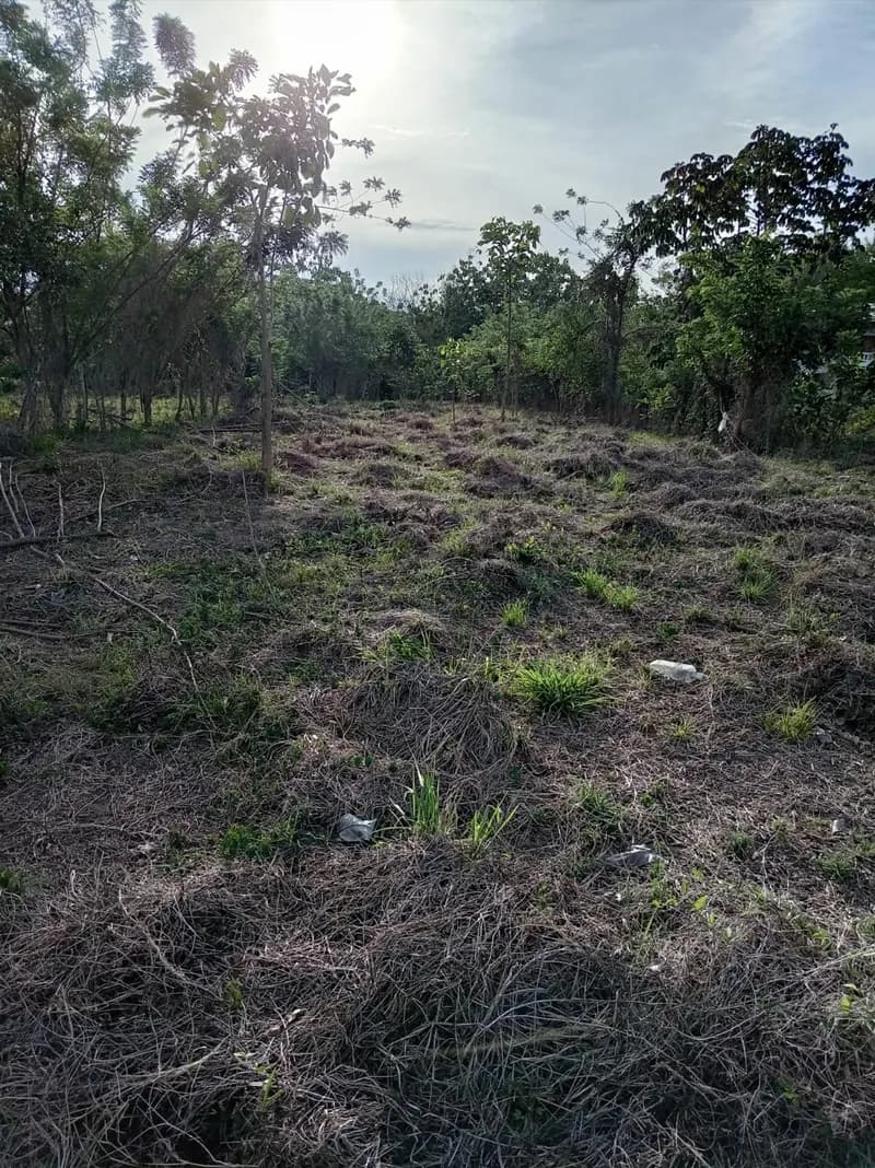 Lote en San Antero